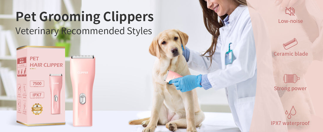 How to Clean and Maintain Your Pet Clipper for Long-Lasting Performance